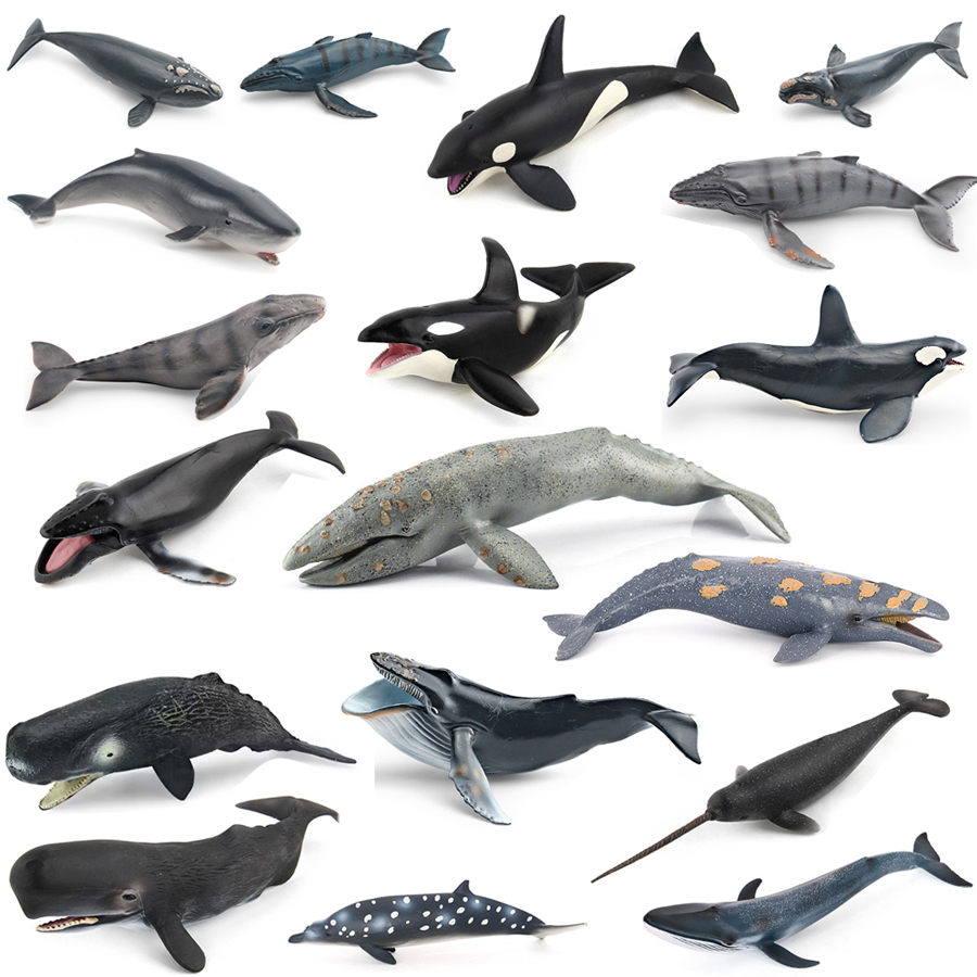 Kids Home Education - Figurines Réalistes de Baleines (Mors, Narval,