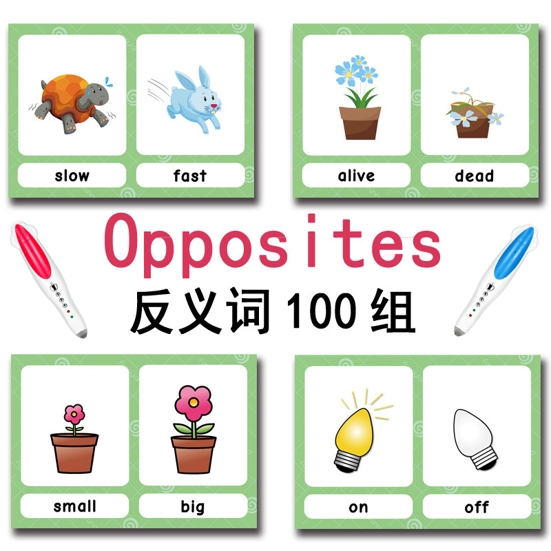 100 cartes mémoire sur les gro - Kids Education Age avis et prix