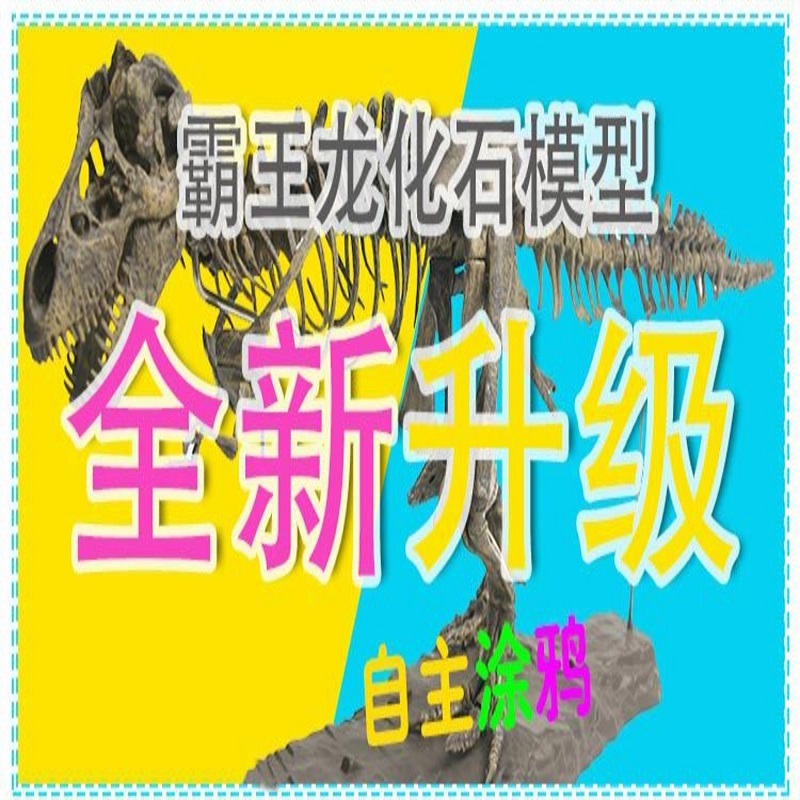 Modèle de squelette de dinosau - Kids Home Education avis et prix