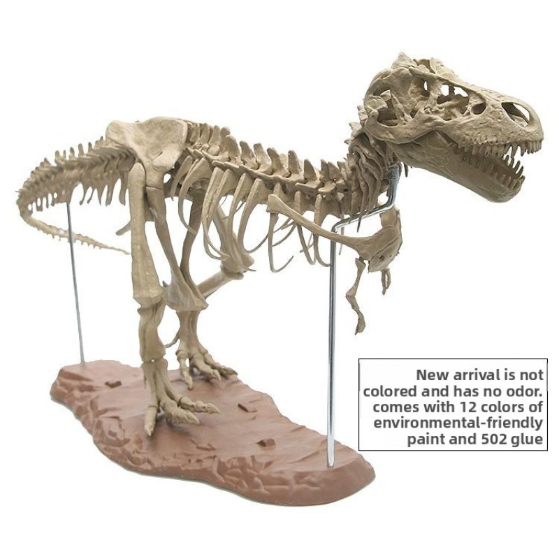 Modèle de squelette de dinosau - Kids Home Education avis et prix