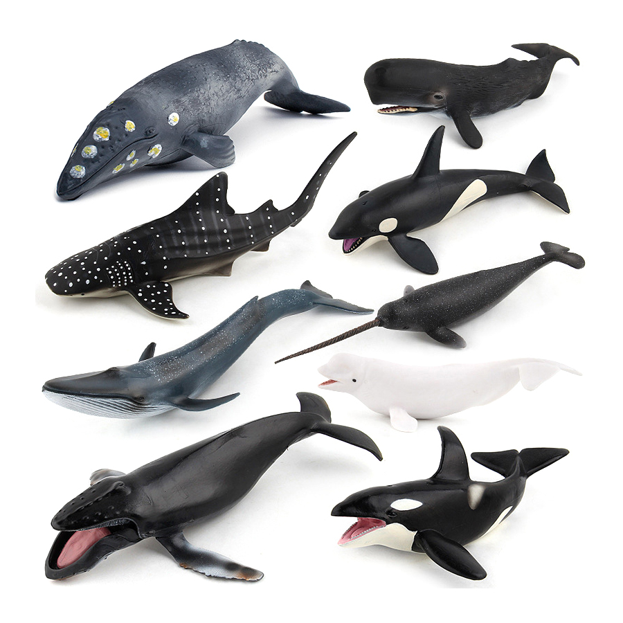 Figurines Réalistes de Baleine - Kids Home Education avis et prix