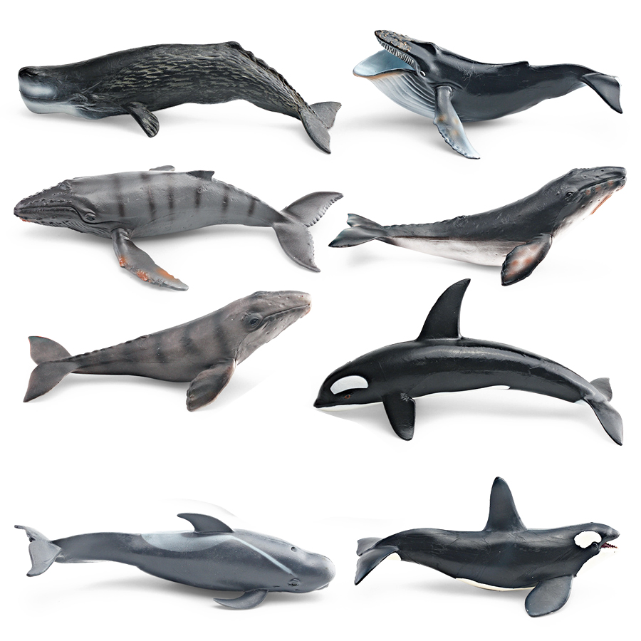 Figurines Réalistes de Baleine - Kids Home Education avis et prix