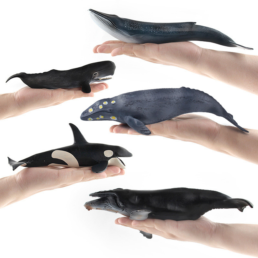 Figurines Réalistes de Baleine - Kids Home Education avis et prix